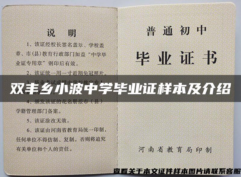 双丰乡小波中学毕业证样本及介绍