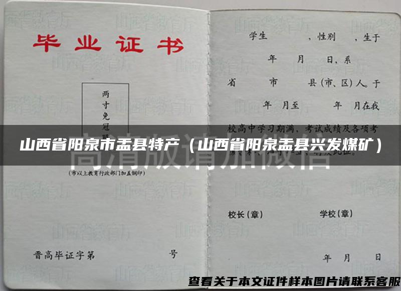 山西省阳泉市盂县特产（山西省阳泉盂县兴发煤矿）