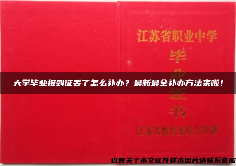 大学毕业报到证丢了怎么补办？最新最全补办方法来啦！