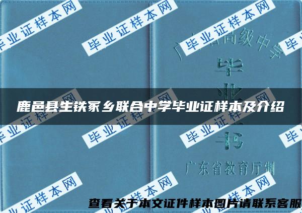 鹿邑县生铁冢乡联合中学毕业证样本及介绍