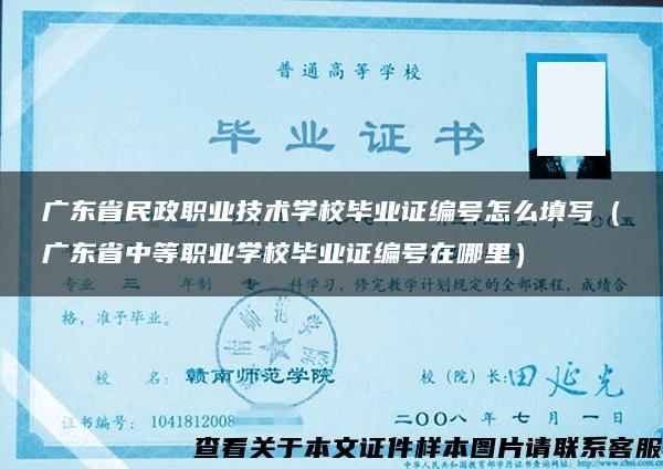 广东省民政职业技术学校毕业证编号怎么填写（广东省中等职业学校毕业证编号在哪里）