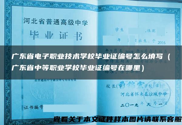 广东省电子职业技术学校毕业证编号怎么填写（广东省中等职业学校毕业证编号在哪里）