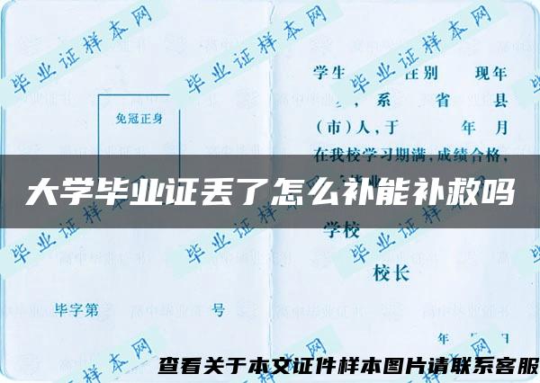 大学毕业证丢了怎么补能补救吗