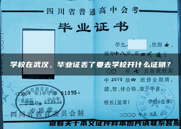 学校在武汉，毕业证丢了要去学校开什么证明？