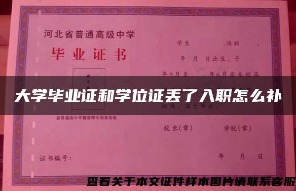 大学毕业证和学位证丢了入职怎么补