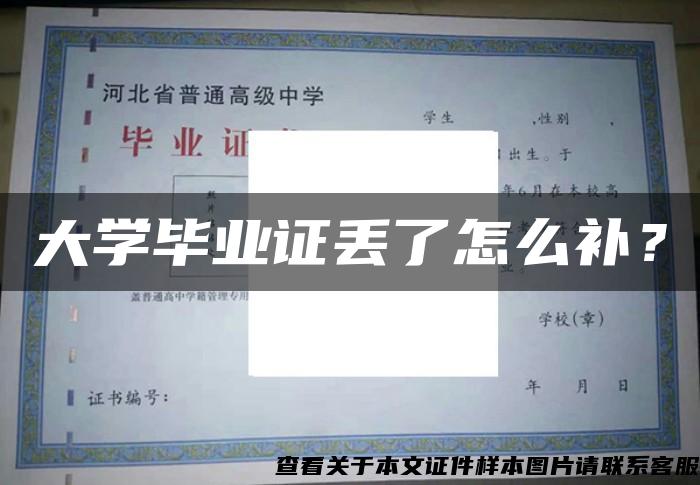 大学毕业证丢了怎么补？