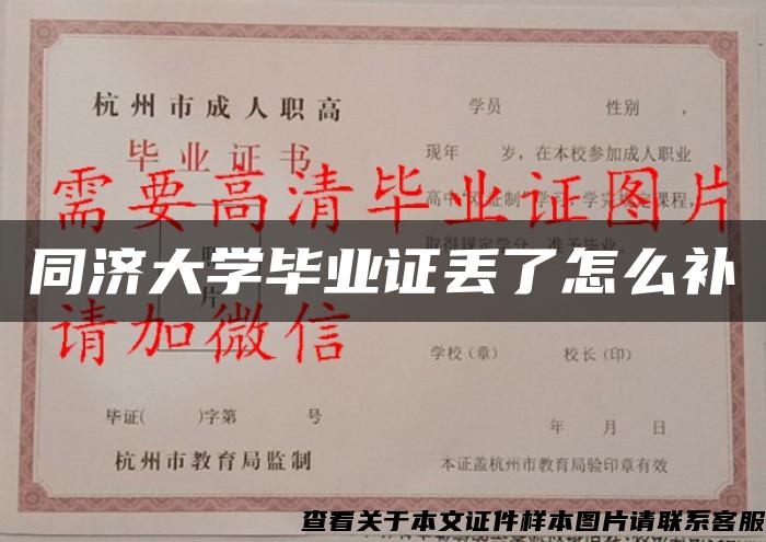 同济大学毕业证丢了怎么补