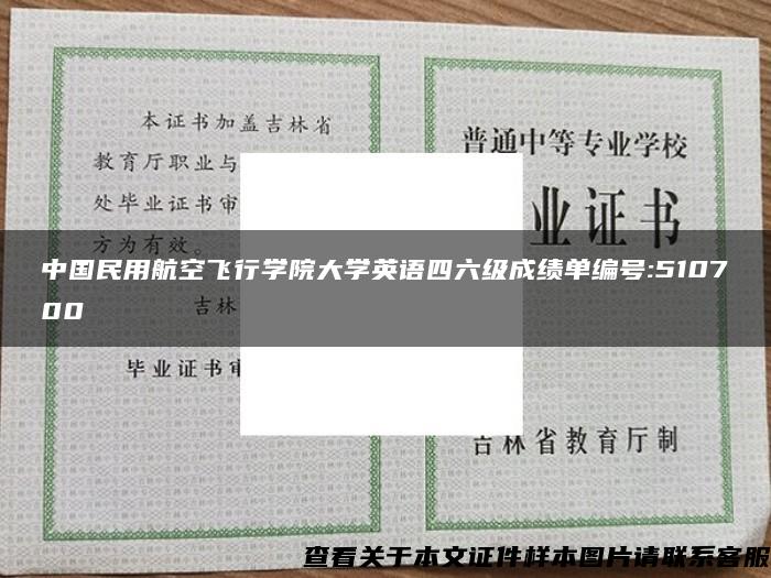 中国民用航空飞行学院大学英语四六级成绩单编号:510700