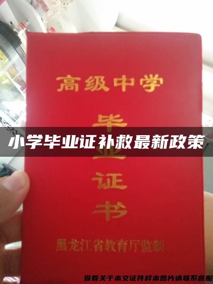 小学毕业证补救最新政策