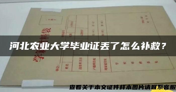 河北农业大学毕业证丢了怎么补救？