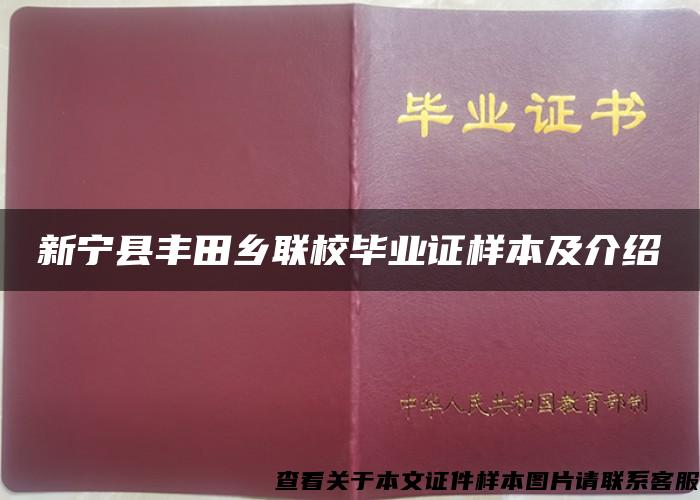 新宁县丰田乡联校毕业证样本及介绍