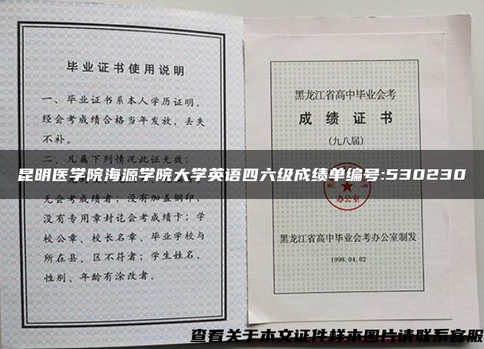 昆明医学院海源学院大学英语四六级成绩单编号:530230