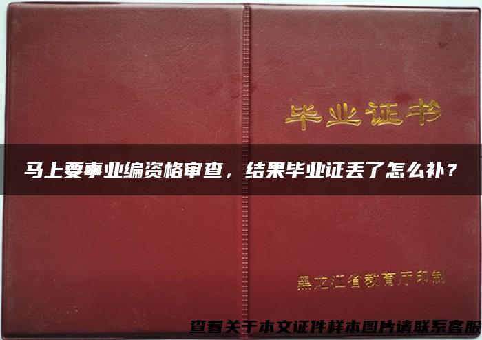 马上要事业编资格审查，结果毕业证丢了怎么补？