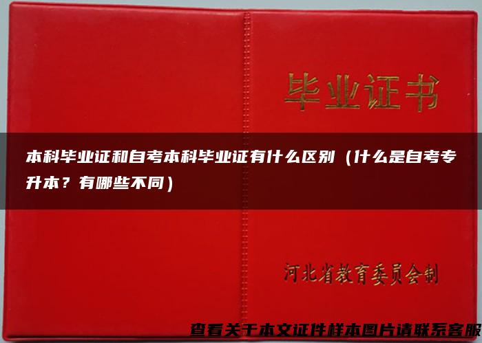 本科毕业证和自考本科毕业证有什么区别（什么是自考专升本？有哪些不同）