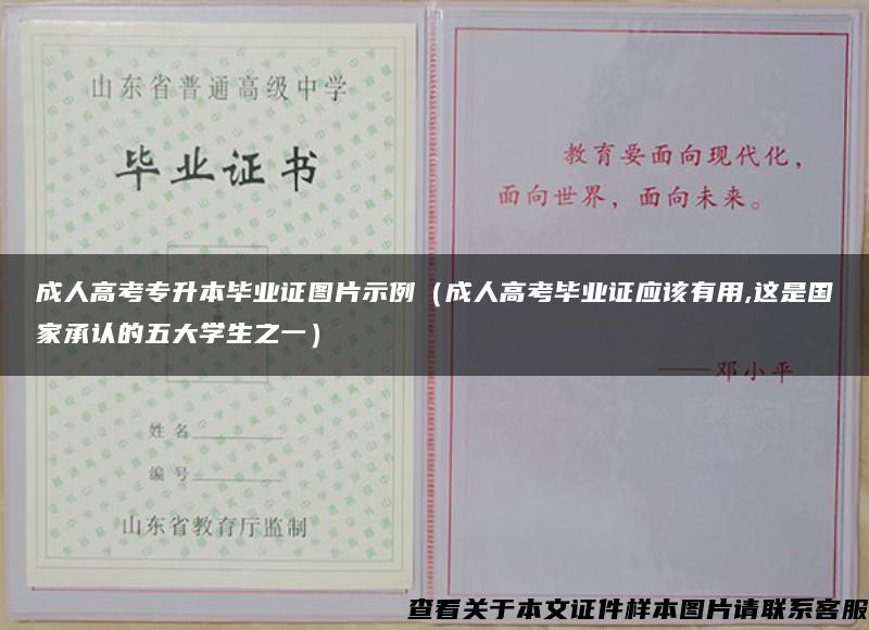 成人高考专升本毕业证图片示例（成人高考毕业证应该有用,这是国家承认的五大学生之一）