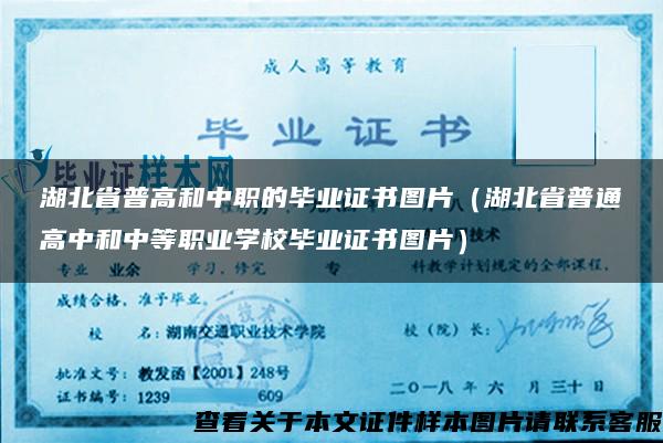 湖北省普高和中职的毕业证书图片（湖北省普通高中和中等职业学校毕业证书图片）