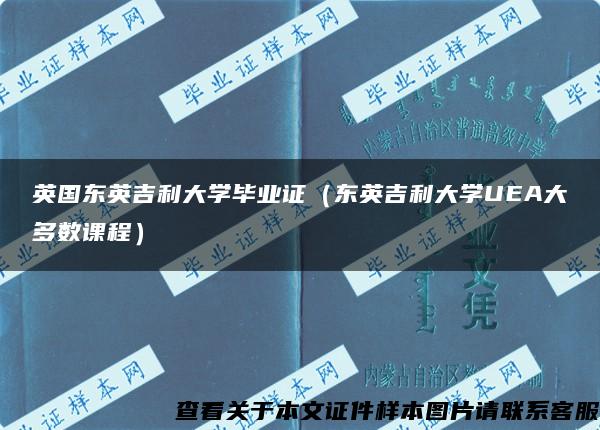 英国东英吉利大学毕业证（东英吉利大学UEA大多数课程）