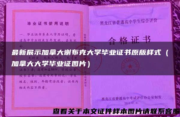 最新展示加拿大谢布克大学毕业证书原版样式（加拿大大学毕业证图片）