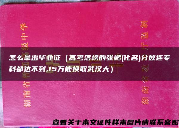 怎么拿出毕业证（高考落榜的张鹏(化名)分数连专科都达不到,15万能换取武汉大）