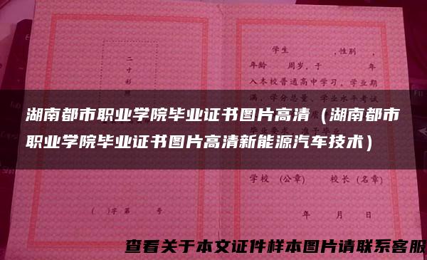 湖南都市职业学院毕业证书图片高清（湖南都市职业学院毕业证书图片高清新能源汽车技术）