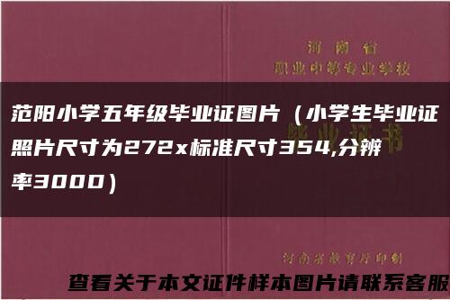 范阳小学五年级毕业证图片（小学生毕业证照片尺寸为272x标准尺寸354,分辨率300D）