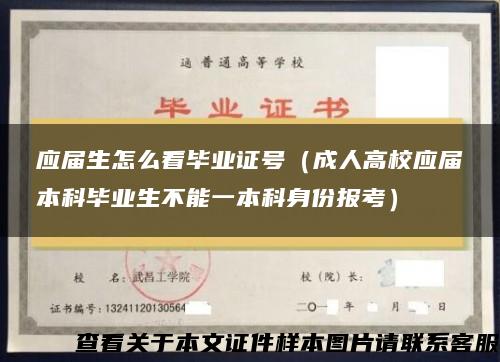 应届生怎么看毕业证号（成人高校应届本科毕业生不能一本科身份报考）