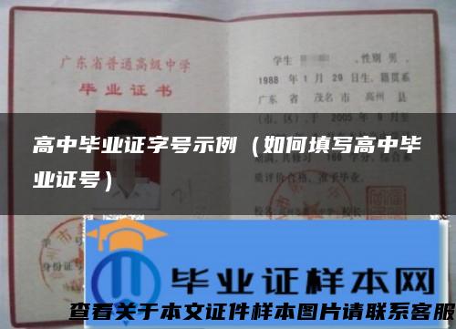 高中毕业证字号示例（如何填写高中毕业证号）