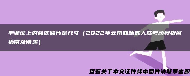 毕业证上的蓝底照片是几寸（2022年云南曲靖成人高考函授报名指南及待遇）