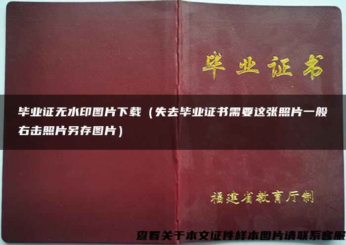 毕业证无水印图片下载（失去毕业证书需要这张照片一般右击照片另存图片）