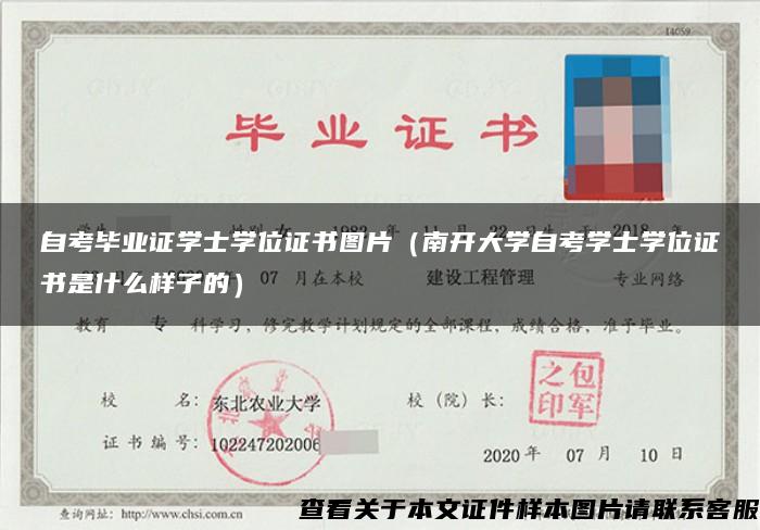 自考毕业证学士学位证书图片（南开大学自考学士学位证书是什么样子的）