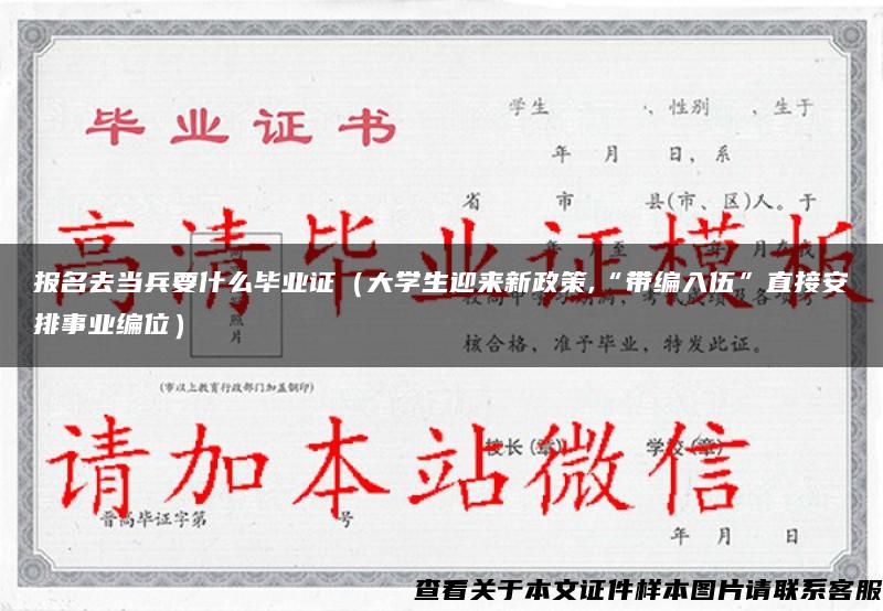 报名去当兵要什么毕业证（大学生迎来新政策,“带编入伍”直接安排事业编位）