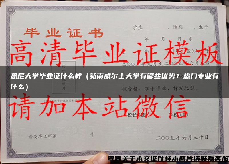 悉尼大学毕业证什么样（新南威尔士大学有哪些优势？热门专业有什么）