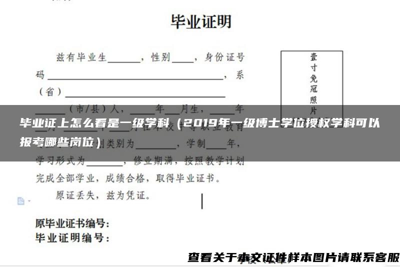 毕业证上怎么看是一级学科（2019年一级博士学位授权学科可以报考哪些岗位）