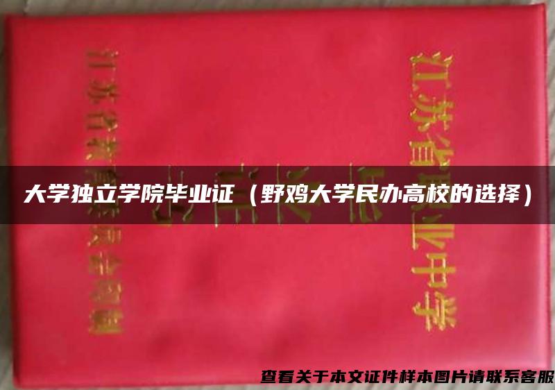 大学独立学院毕业证（野鸡大学民办高校的选择）