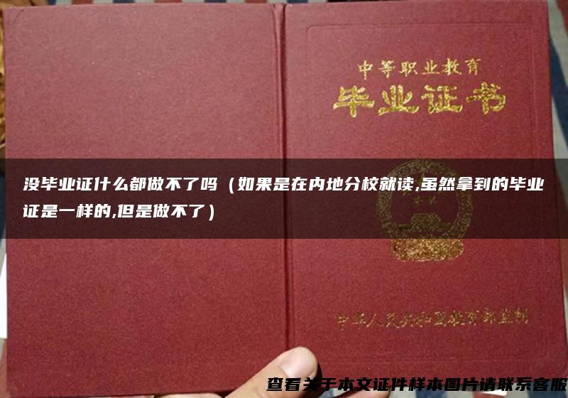 没毕业证什么都做不了吗（如果是在内地分校就读,虽然拿到的毕业证是一样的,但是做不了）