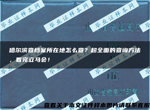 哈尔滨查档案所在地怎么查？超全面的查询方法，看完立马会！