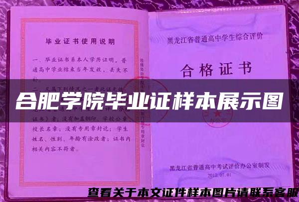 合肥学院毕业证样本展示图