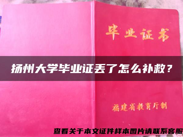 扬州大学毕业证丢了怎么补救？