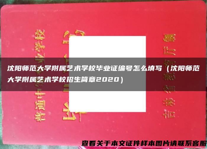 沈阳师范大学附属艺术学校毕业证编号怎么填写（沈阳师范大学附属艺术学校招生简章2020）