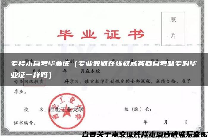 专接本自考毕业证（专业教师在线权威答疑自考和专科毕业证一样吗）