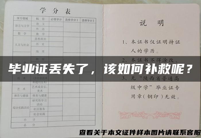 毕业证丢失了，该如何补救呢？