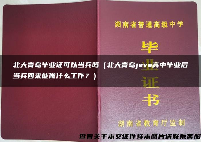 北大青鸟毕业证可以当兵吗（北大青鸟java高中毕业后当兵回来能做什么工作？）