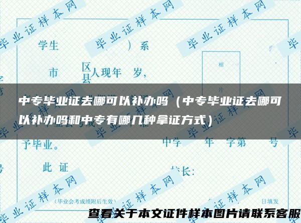 中专毕业证去哪可以补办吗（中专毕业证去哪可以补办吗和中专有哪几种拿证方式）