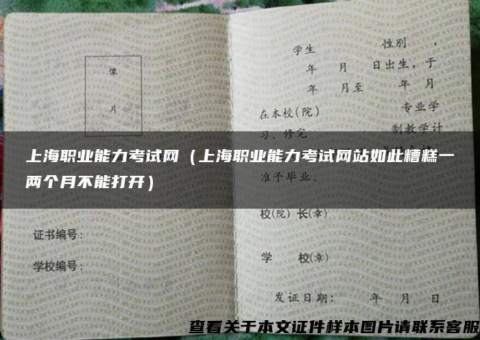 上海职业能力考试网（上海职业能力考试网站如此糟糕一两个月不能打开）