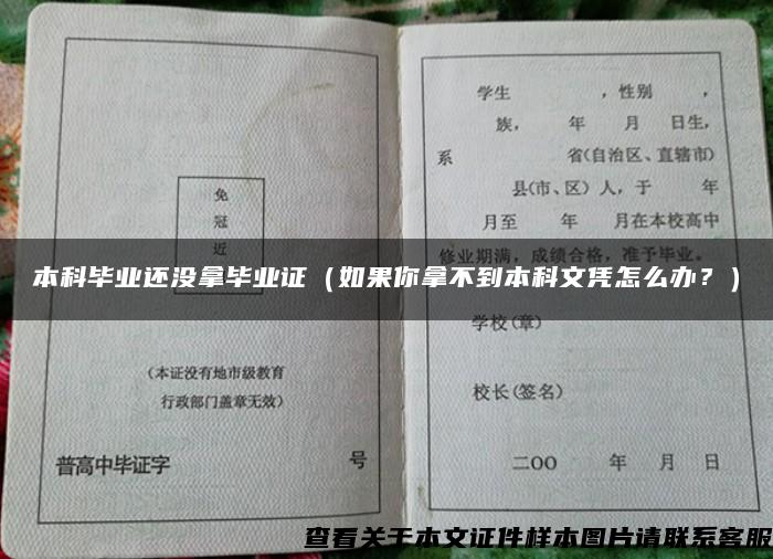 本科毕业还没拿毕业证（如果你拿不到本科文凭怎么办？）