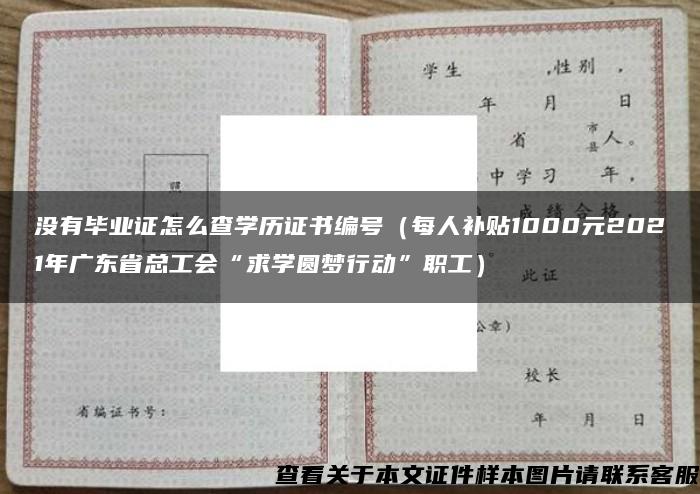 没有毕业证怎么查学历证书编号（每人补贴1000元2021年广东省总工会“求学圆梦行动”职工）