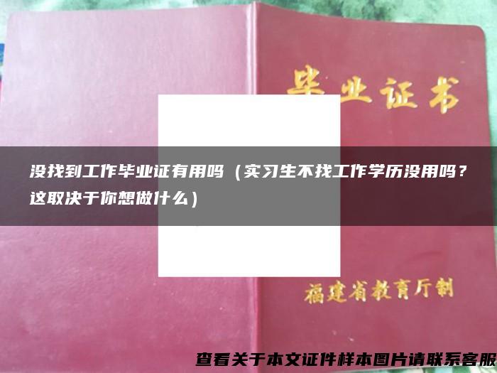 没找到工作毕业证有用吗（实习生不找工作学历没用吗？这取决于你想做什么）