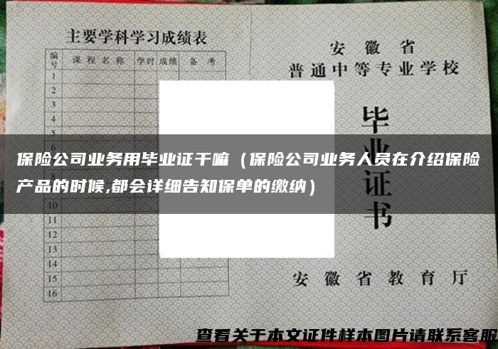 保险公司业务用毕业证干嘛（保险公司业务人员在介绍保险产品的时候,都会详细告知保单的缴纳）