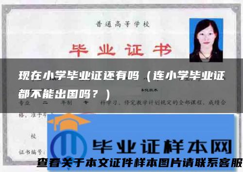 现在小学毕业证还有吗（连小学毕业证都不能出国吗？）