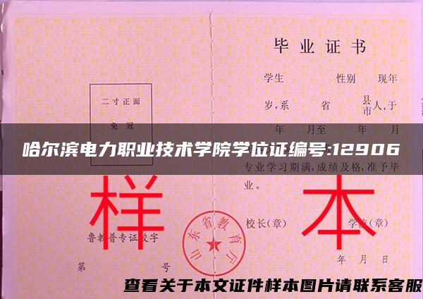 哈尔滨电力职业技术学院学位证编号:12906